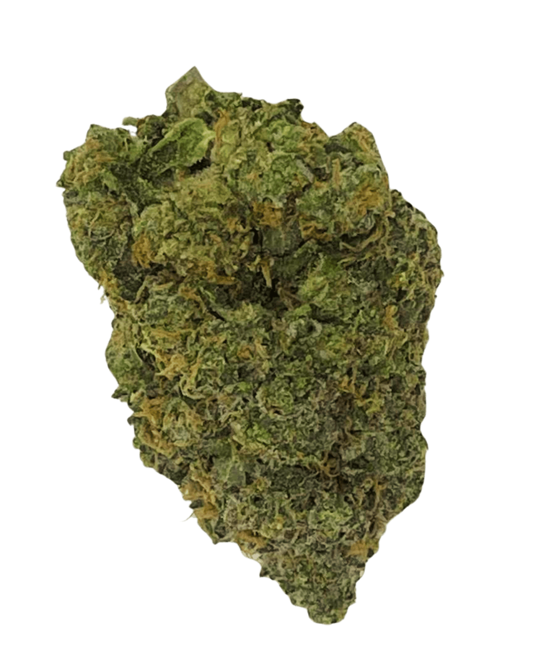 Gary Payton (Hybrid)